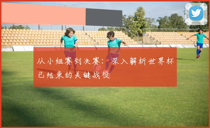 从小组赛到决赛:深入解析世界杯已结束的关键战役