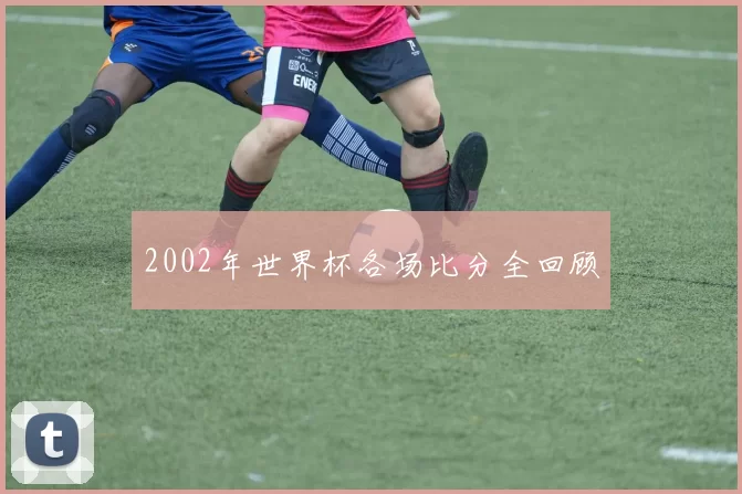 2002年世界杯各场比分全回顾