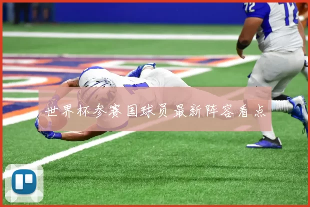 世界杯参赛国球员最新阵容看点
