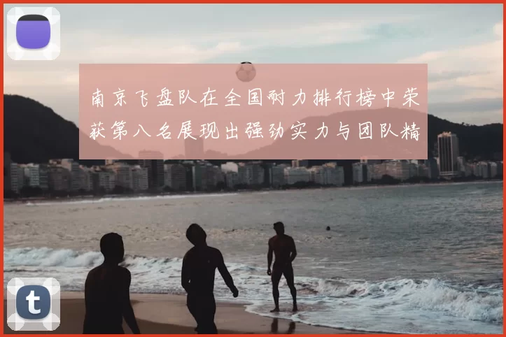 南京飞盘队在全国耐力排行榜中荣获第八名展现出强劲实力与团队精神