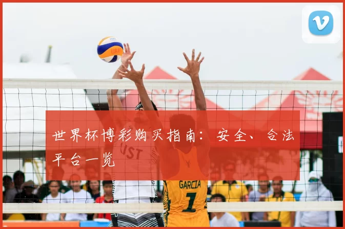 世界杯博彩购买指南:安全、合法平台一览