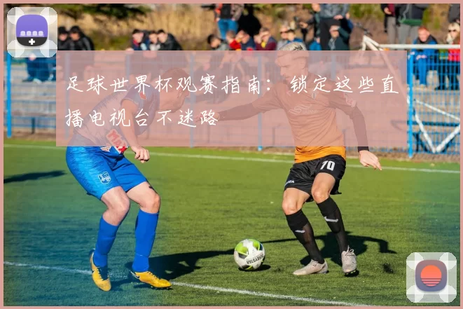 足球世界杯观赛指南：锁定这些直播电视台不迷路