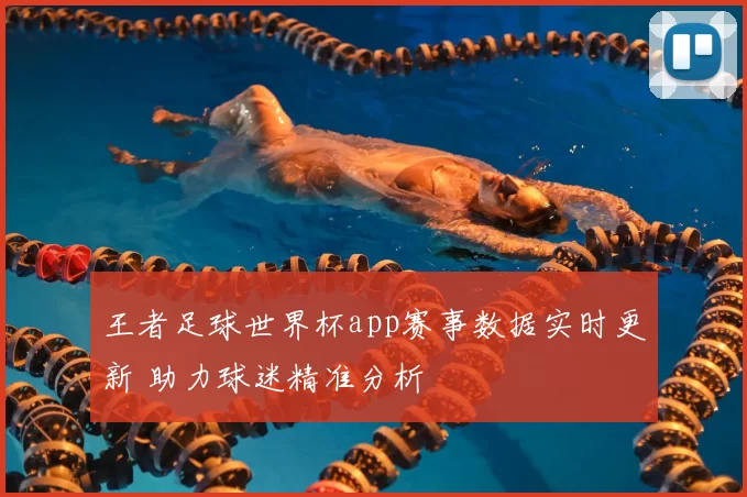 王者足球世界杯app赛事数据实时更新 助力球迷精准分析