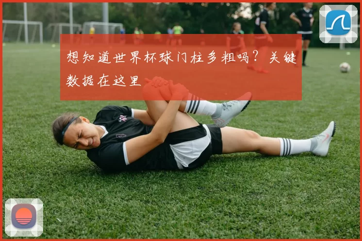 想知道世界杯球门柱多粗吗？关键数据在这里
