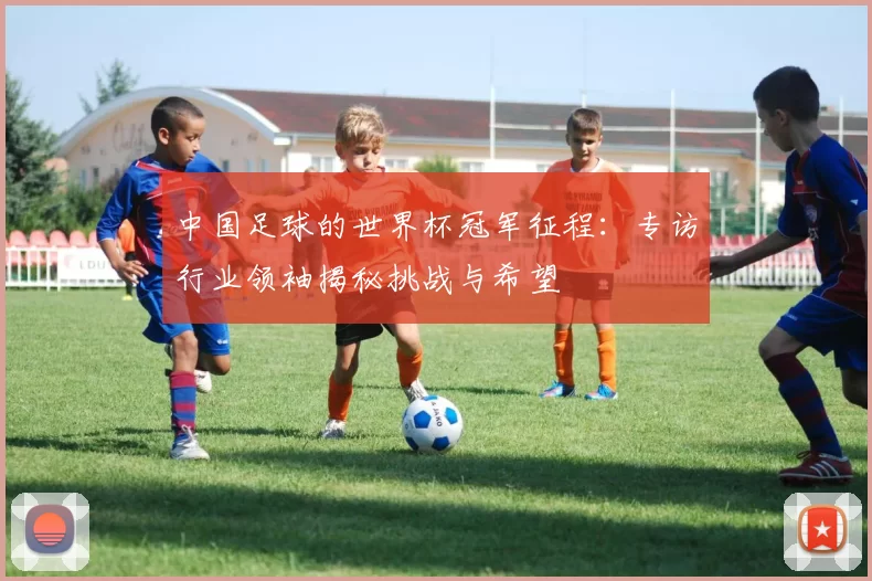 中国足球的世界杯冠军征程:专访行业领袖揭秘挑战与希望