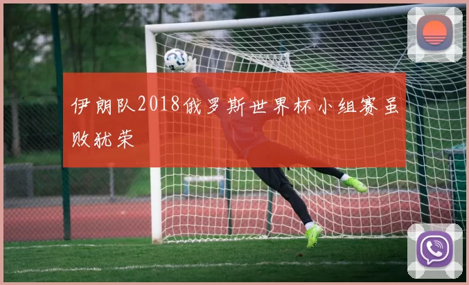 伊朗队2018俄罗斯世界杯小组赛虽败犹荣