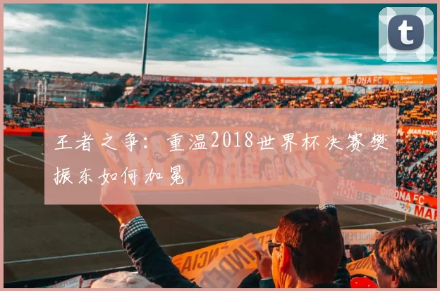 王者之争:重温2018世界杯决赛樊振东如何加冕