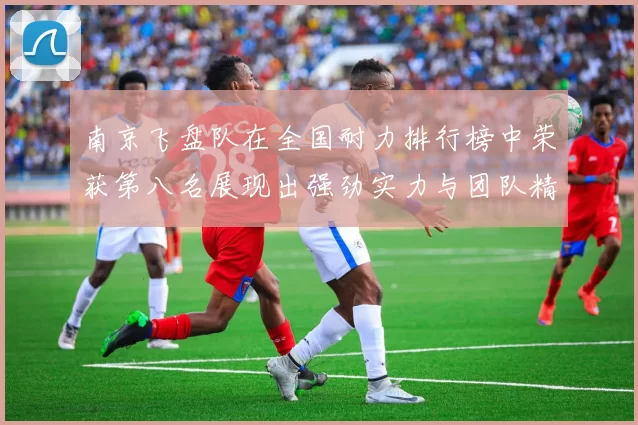 南京飞盘队在全国耐力排行榜中荣获第八名展现出强劲实力与团队精神