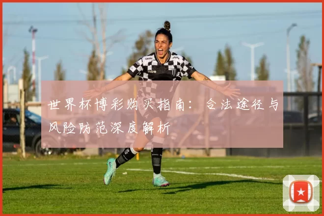 世界杯博彩购买指南:合法途径与风险防范深度解析