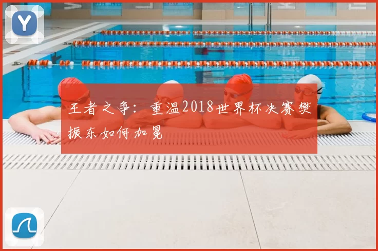 王者之争:重温2018世界杯决赛樊振东如何加冕